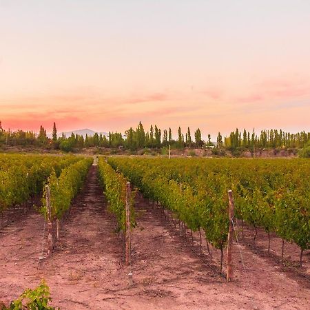 Marale Wines Hotel Boutique Вилья-Медия-Агуа Экстерьер фото