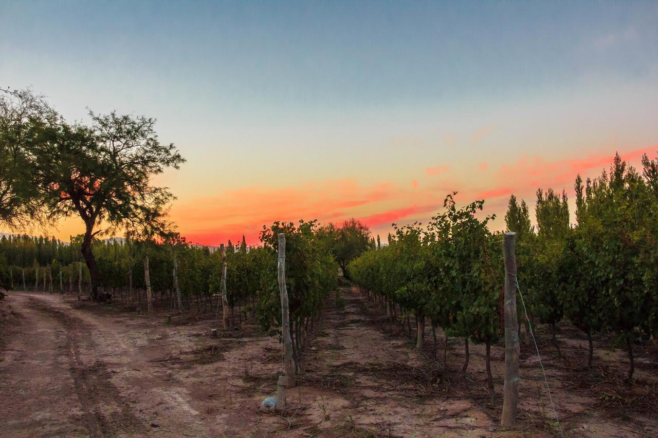Marale Wines Hotel Boutique Вилья-Медия-Агуа Экстерьер фото