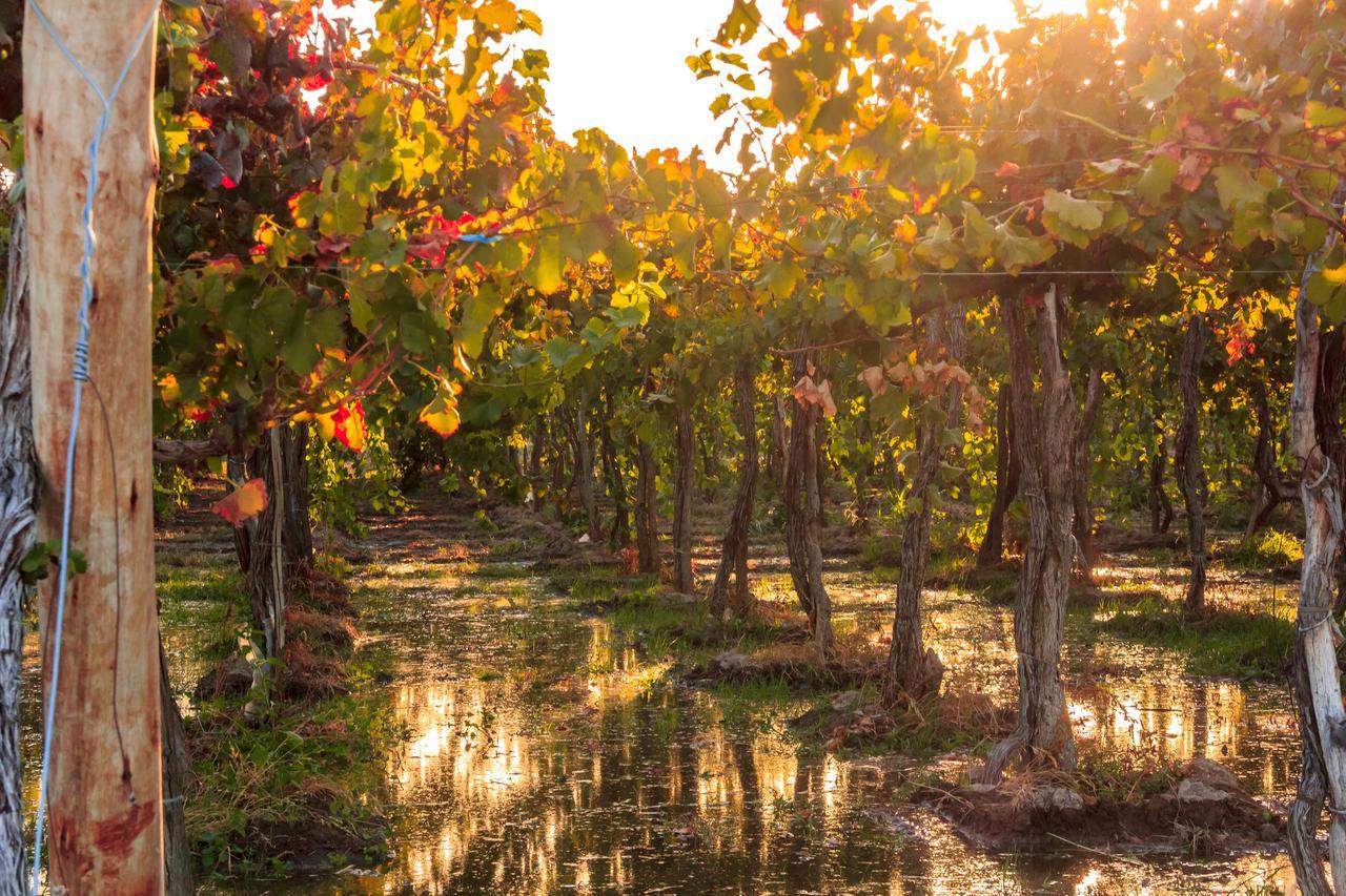 Marale Wines Hotel Boutique Вилья-Медия-Агуа Экстерьер фото